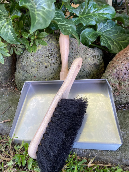 Large 350mm Dustpan and Brush set